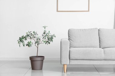 Gri kanepe ve bitkilerle aydınlık oturma odasının içinde.