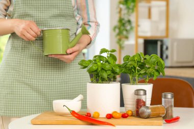 Mutfakta fesleğen bitkisi olan kadın.