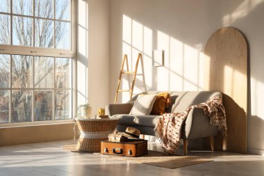 İçinde kanepe, klasik bavul ve masa olan aydınlık oturma odasının içi.