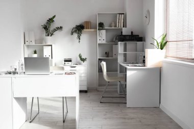 Muhasebeci masaları, raf birimleri ve bitkileri olan ışık ofisinin içinde.