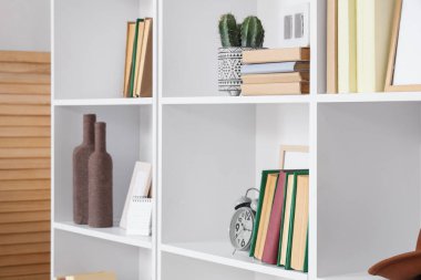 Dekorlu ve bitkili kitaplık