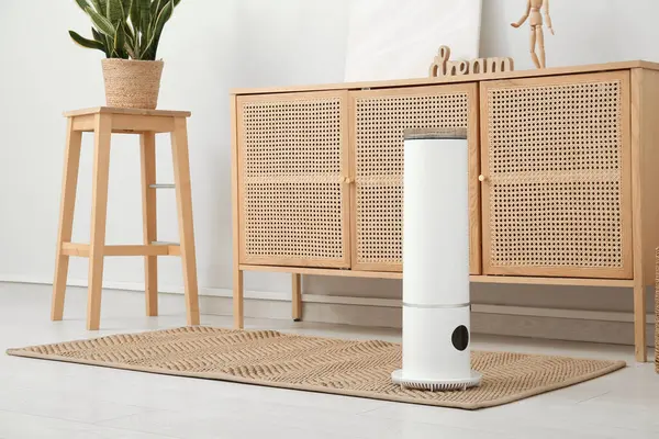 Oturma odasındaki çekmecelerin yanındaki halının üzerinde hava nemlendirici var.