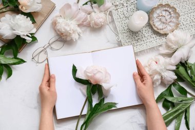 Beyaz arka planda kitap ve şakayık çiçekleri olan kadın elleri