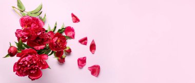 Leylak arka planında güzel şakayık çiçekleri ve taç yaprakları