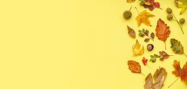 Sarı arkaplanda birçok farklı sonbahar yaprakları ve metin için boşluk