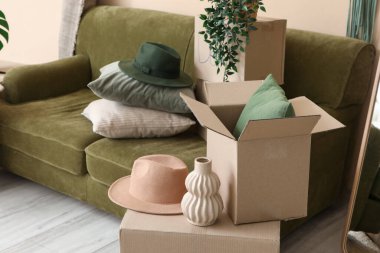 İçinde yeşil kanepe, karton kutular ve taşınma gününde ev bitkileri olan oturma odası.