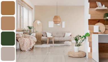 Koltuğu ve koltuğu olan bir stüdyo dairesi. Farklı renk desenleri