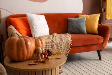 Köknar kozalaklı balkabakları, mantarlar ve sonbahar yaprakları oturma odasındaki masada.