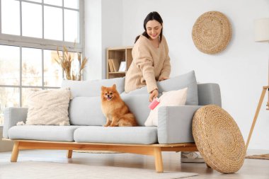 Evdeki kanepede tüy yumağı ve tüylü köpeği olan genç bir kadın.