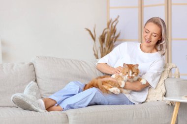 Evdeki kanepede tatlı kedisi olan yumuşak terlikli güzel bir kadın.