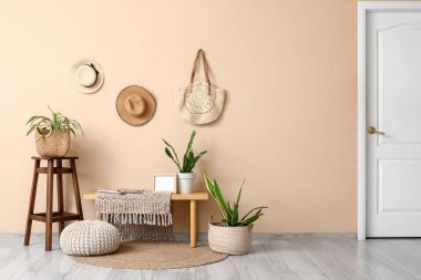 İçinde bank, şapka ve Sansevieria bitkileri olan bir oda.