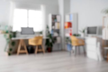 Ofis içi masalar, raf üniteleri ve yeşil ev bitkileri