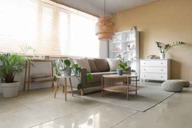 Gri kanepeli, masalı ve bitkilerli oturma odasının içinde.