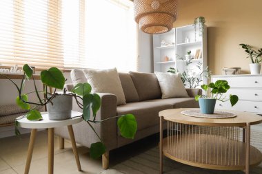 Gri kanepeli, masalı ve bitkilerli oturma odasının içinde.