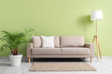 Gri kanepe, lamba ve palmiye bitkisi olan oturma odasının içinde.