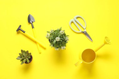 Sarı arka planda saksı bitkileri ve bahçe aletleri ile kompozisyon