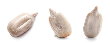 Beyaz arkaplanda soyulmuş ayçekirdeği seti