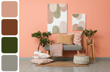 Mercan duvarının yanında farklı yastıklı ev bitkileri ve bank. Farklı renk desenleri