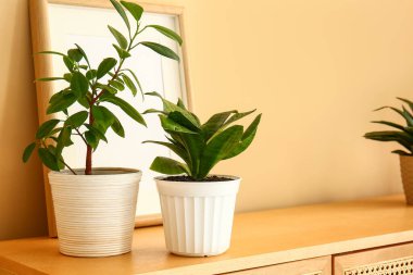 Bej duvarın yanındaki çekmecelerde çerçeveli yeşil bitkiler.