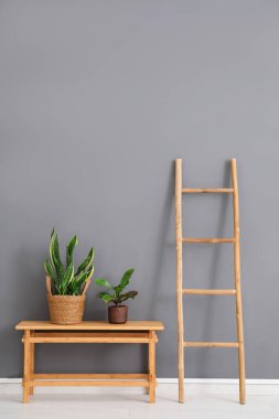 Ahşap merdiven ve masa. Gri duvarın yanındaki ev bitkileriyle dolu.