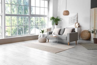 Aydınlık oturma odasının içinde gri kanepe, ev bitkileri ve kahve masası var.