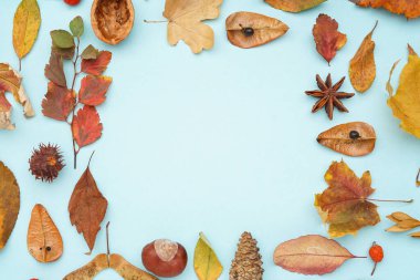 Mavi arka planda sonbahar yaprakları ve orman dekorundan yapılmış çerçeve