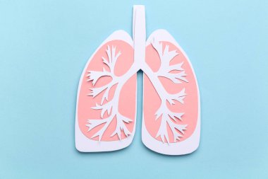 Mavi arka planda kağıt ciğerler