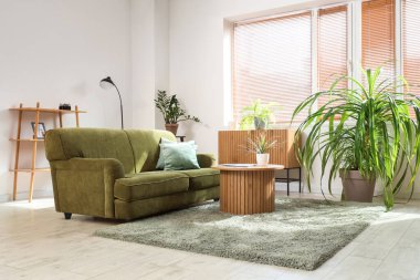 Rahat kanepesi ve çiçekleri olan modern bir oturma odası.