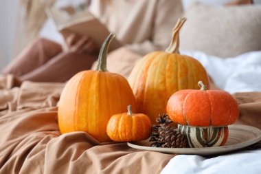 Balkabakları evde kitap okuyan kadınların yatağında, yakın çekim.