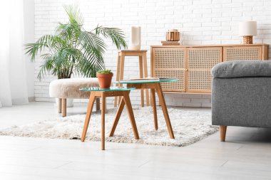 Cam kahve masaları, puf, çekmece sandığı ve oturma odasının iç tarafındaki saksı.