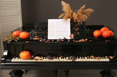 Piyanoda taze balkabakları ve sonbahar dekoru. Yakın çekim.