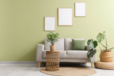 Konforlu kanepe, ev çiçekleri ve oturma odasındaki yeşil duvarda boş posterler.