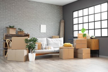 Gri kanepeli karton kutular ve taşınma gününde oturma odasındaki pencerenin yanında bitkiler.