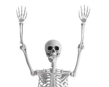 Kaldırılmış elleri beyaz arka planda olan korkunç insan iskeleti.