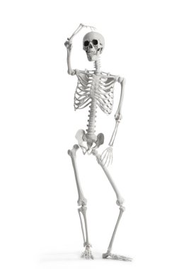 Beyaz arka planda izole edilmiş korkunç insan iskeleti.