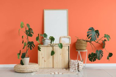 Boş çerçeveli çekmeceler ve turuncu duvarın yanındaki Monstera bitkileri.