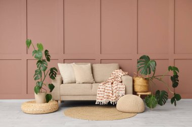 Oturma odasının içinde kanepe, puf ve Monstera bitkileri var.