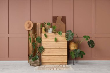 Odada kahverengi duvarın yanında Monstera bitkileri olan çekmeceler.