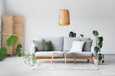 Kanepe ve Monstera bitkileriyle aydınlık oturma odasının içi