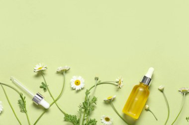 Bir şişe papatya çayı kozmetik yağı ve yeşil arka planda çiçekler.