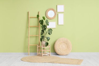 Odanın içinde Monstera bitkisi, merdiven ve boş çerçeveler var.