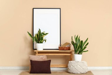 Odanın içi boş çerçeve ve Sansevieria bitkileriyle dolu.