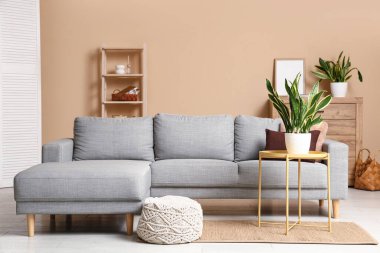 Oturma odasının içinde kanepe, masa ve Sansevieria bitkileri var.