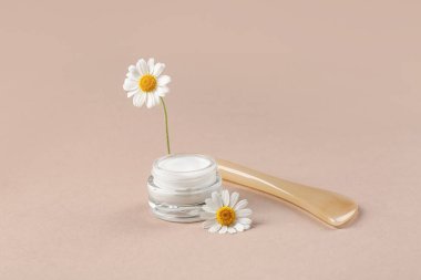 Kahverengi arka planda bir kavanoz papatya çayı ve çiçek.