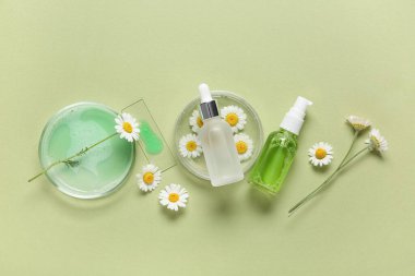 Yeşil arka planda papatya çiçekleri, test kaseleri ve kozmetik ürünleri içeren kompozisyon