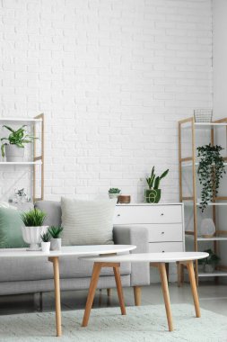 Gri kanepesi, kahve masası ve çiçekleri olan aydınlık oturma odasının içinde.