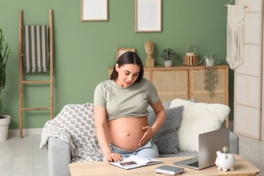 Hesap makinesi, defter ve dizüstü bilgisayarı olan hamile bir kadın oturma odasında kanepede oturuyor.