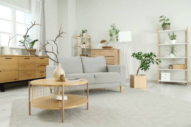 Gri kanepesi, raf ünitesi ve sehpası olan modern bir oturma odası.