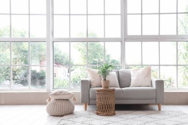 Gri kanepesi ve pencerenin yanında kahve masası olan aydınlık oturma odasının içinde.