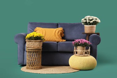 Mavi rahat kanepe ve yeşil arka planda kasımpatı çiçekleri